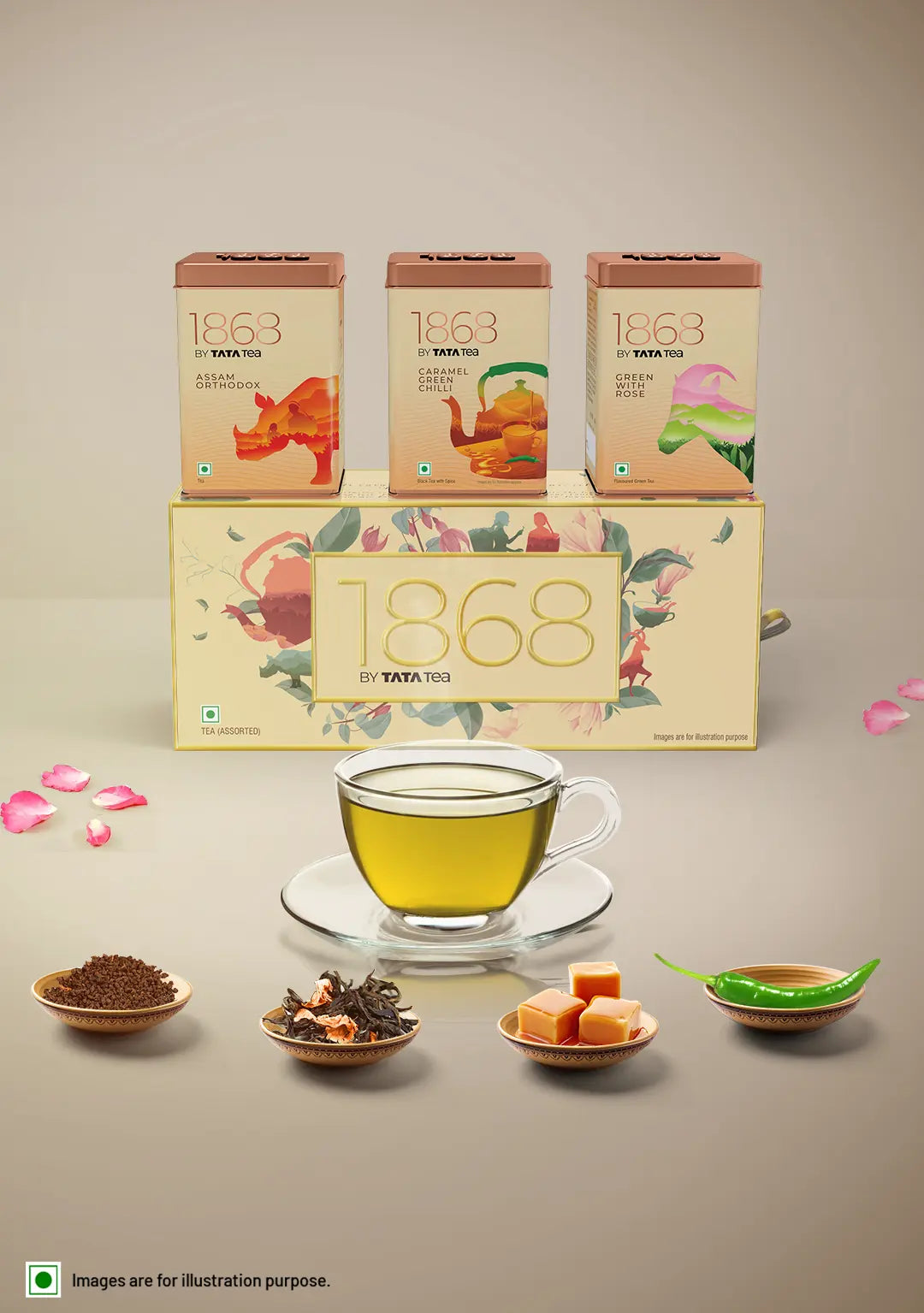 The Tea Ark Delight Gift Box with High Grown Long Leaf Green Tea, 50g